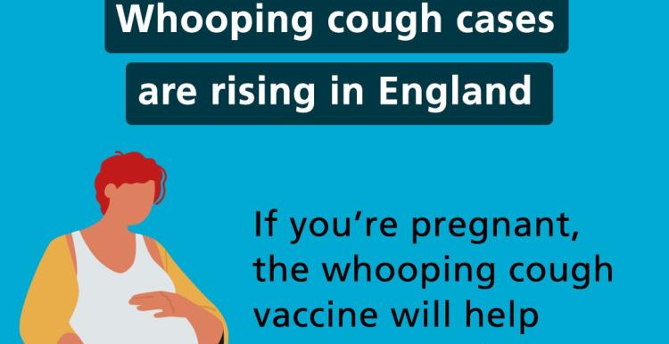 Whooping Cough Vaccine Image