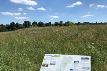 Image of Woolwich Common sign - Thank you to Julie (The Only Way is Woolwich)